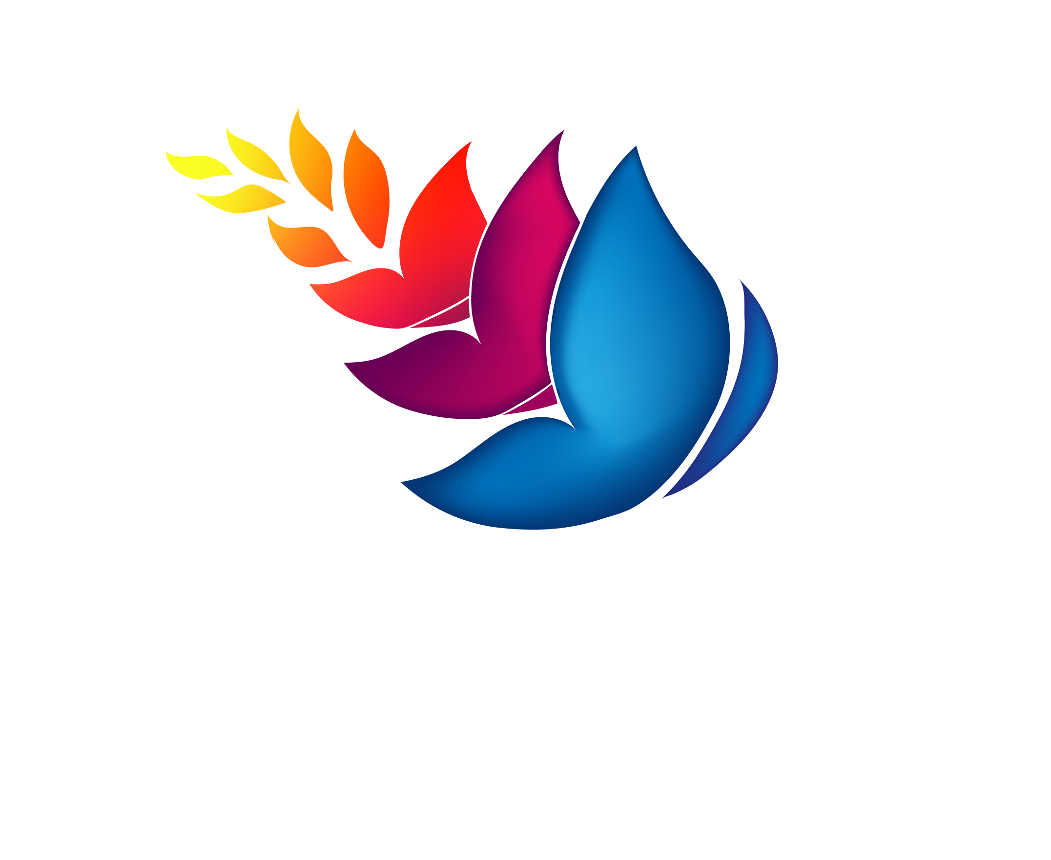 discover-868